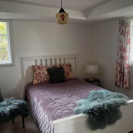 Rosenlund Gods - Kaelder B&B Sakskøbing Zewnętrze zdjęcie