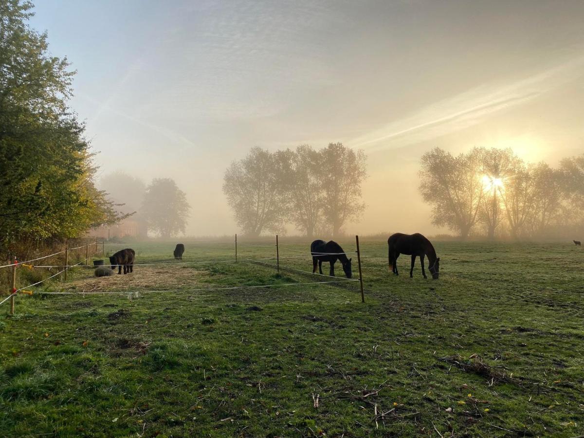 Rosenlund Gods - Kaelder B&B Sakskøbing Zewnętrze zdjęcie