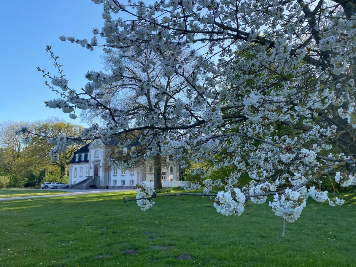 Rosenlund Gods - Kaelder B&B Sakskøbing Zewnętrze zdjęcie