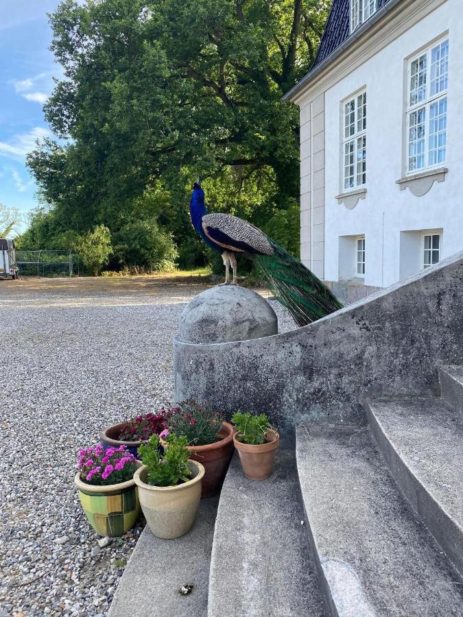 Rosenlund Gods - Kaelder B&B Sakskøbing Zewnętrze zdjęcie